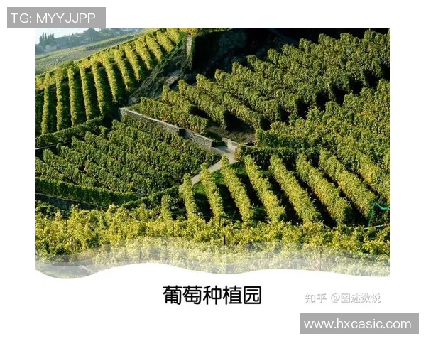 足球中心的地理位置及其对全球足球发展的影响分析