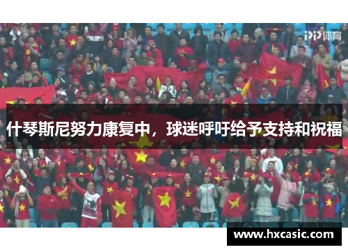 什琴斯尼努力康复中，球迷呼吁给予支持和祝福